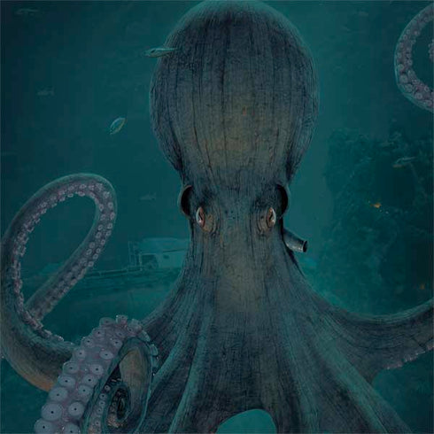 Giant Octopus by Vincent Hie MacBook Skins